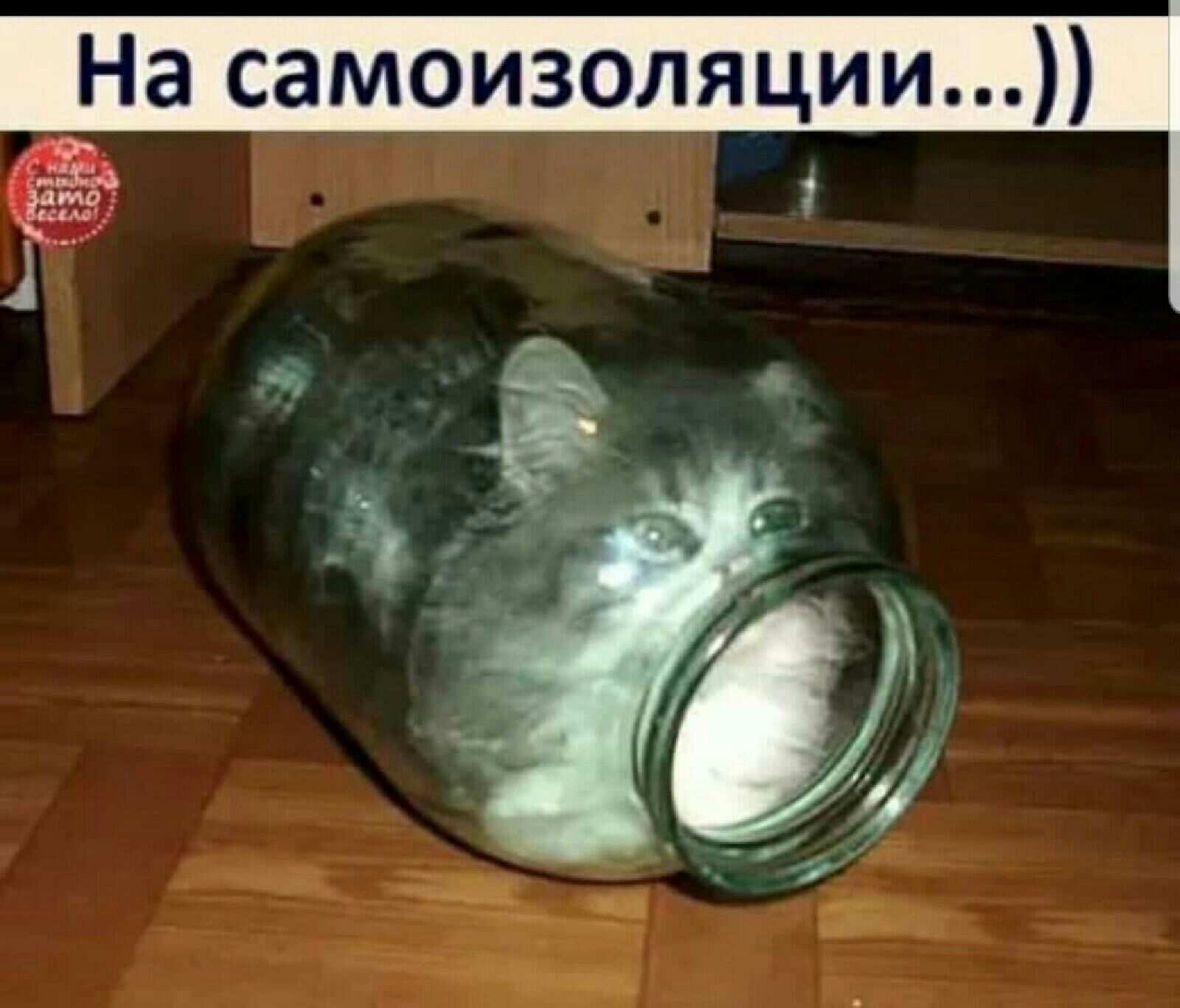 На самоизоляции