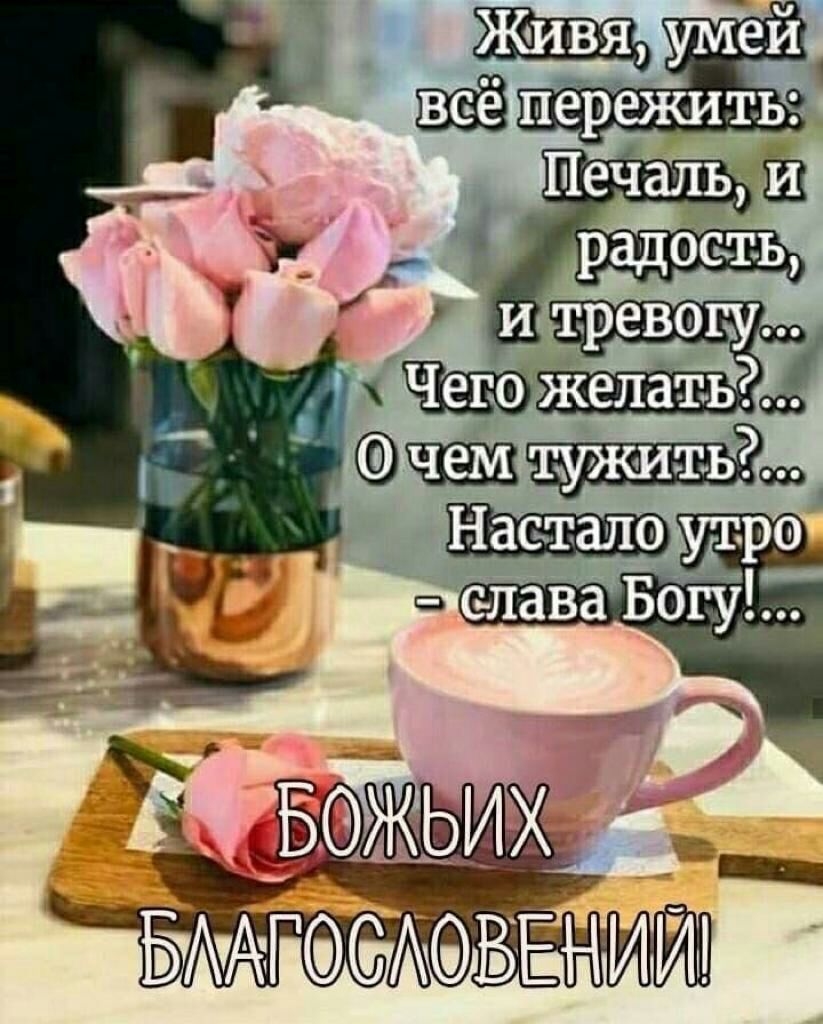 4 Насто _