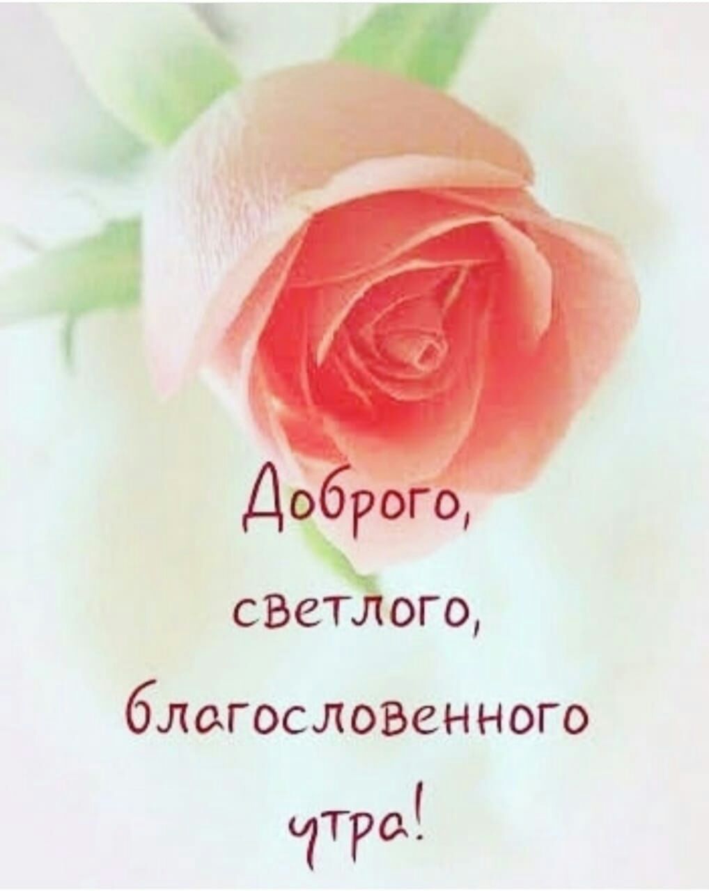 ДФ Р благословенного Трд