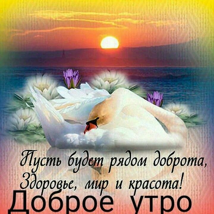 Ящсьу ряом додрота 330 ьс мир и к асота Дё все то