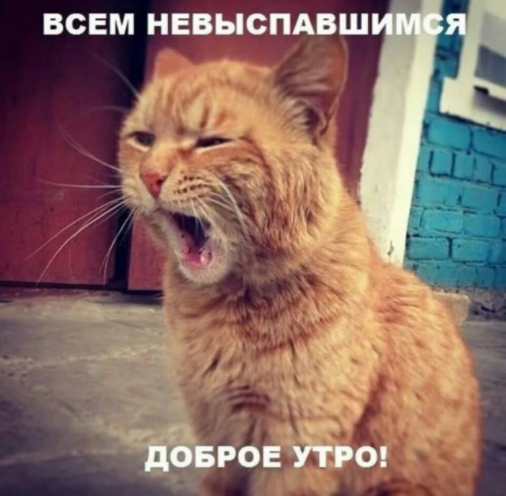 ВСЕМ НЕВЫСПАВШ
