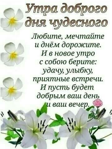 Утра брсшэ дня деснаге Любите мечтайте и днём дорожите И новоеутро с собою берите удачу улыбку приятные встречи И пусть будет добрым ваш день