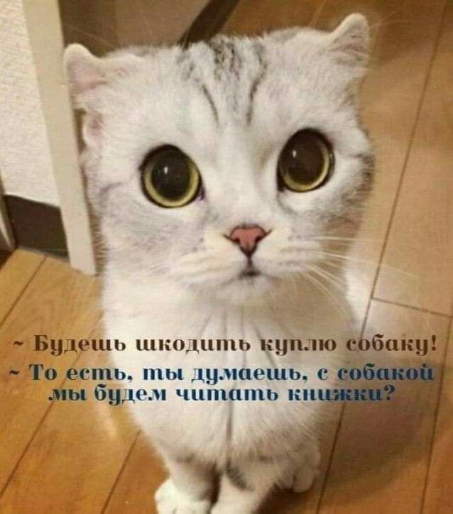 _ То есть ты думаешь с пы будем чцпшшь кп