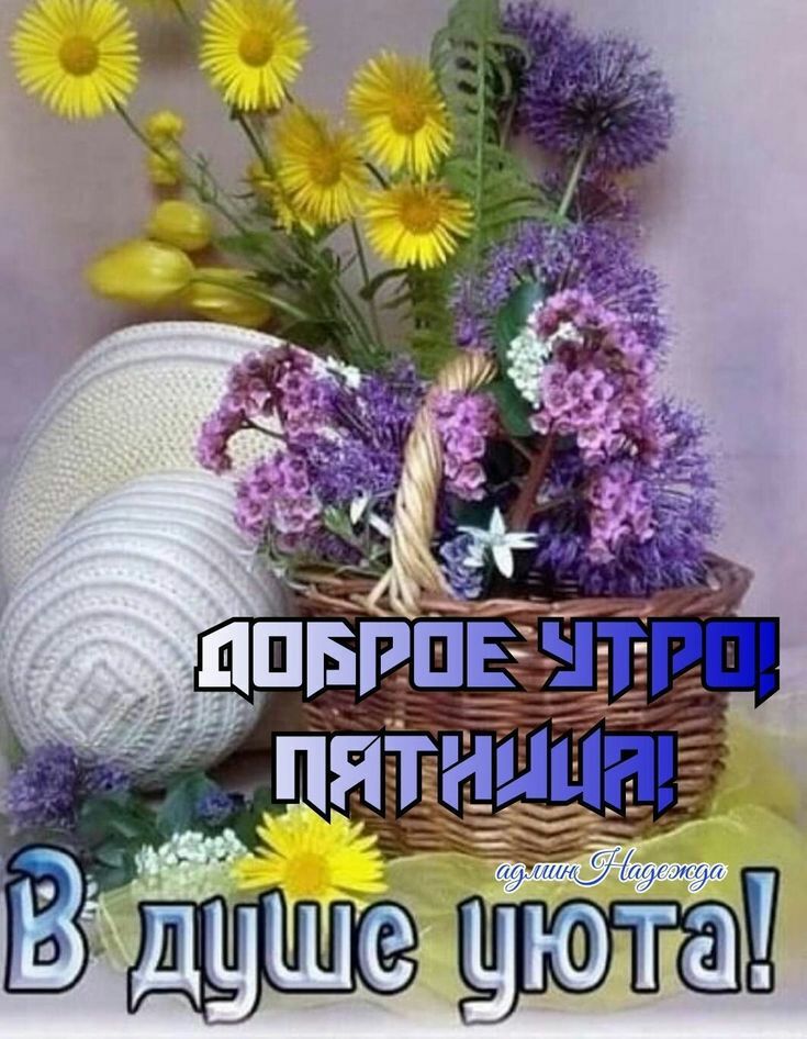 Ё н г вудущетуюта!