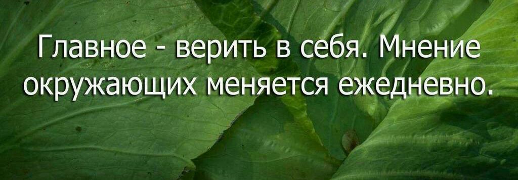 Картинки главное верить в себя мнение окружающих меняется ежедневно