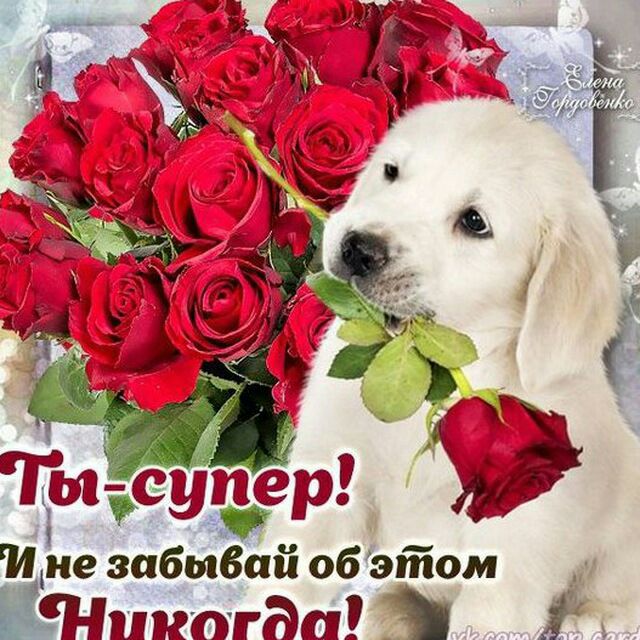 Ине забывая об этом Никогда