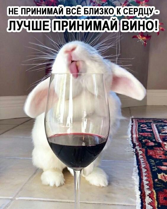 НЕ принимй всё Близко к сердцу