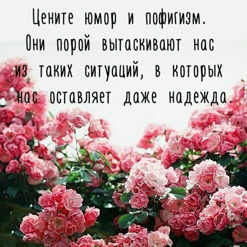 Цените юмор и пофигизм Пни порой вытаскивают нас из таких ситуаций в которых _ Ъас оставляет даже надежда