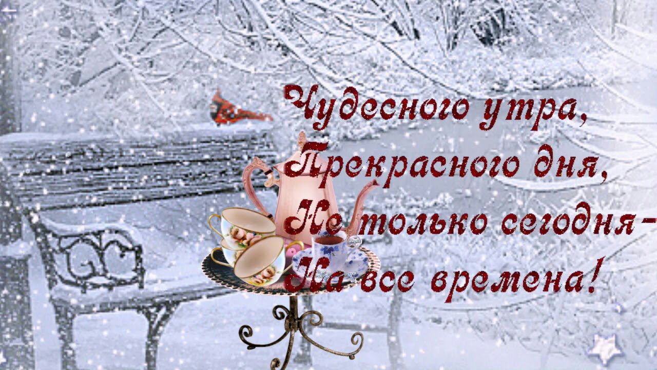 т