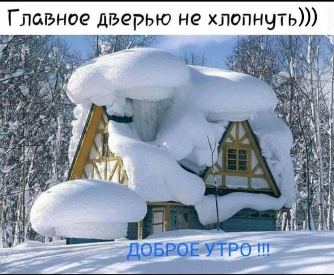 В а і ті и ъ г
