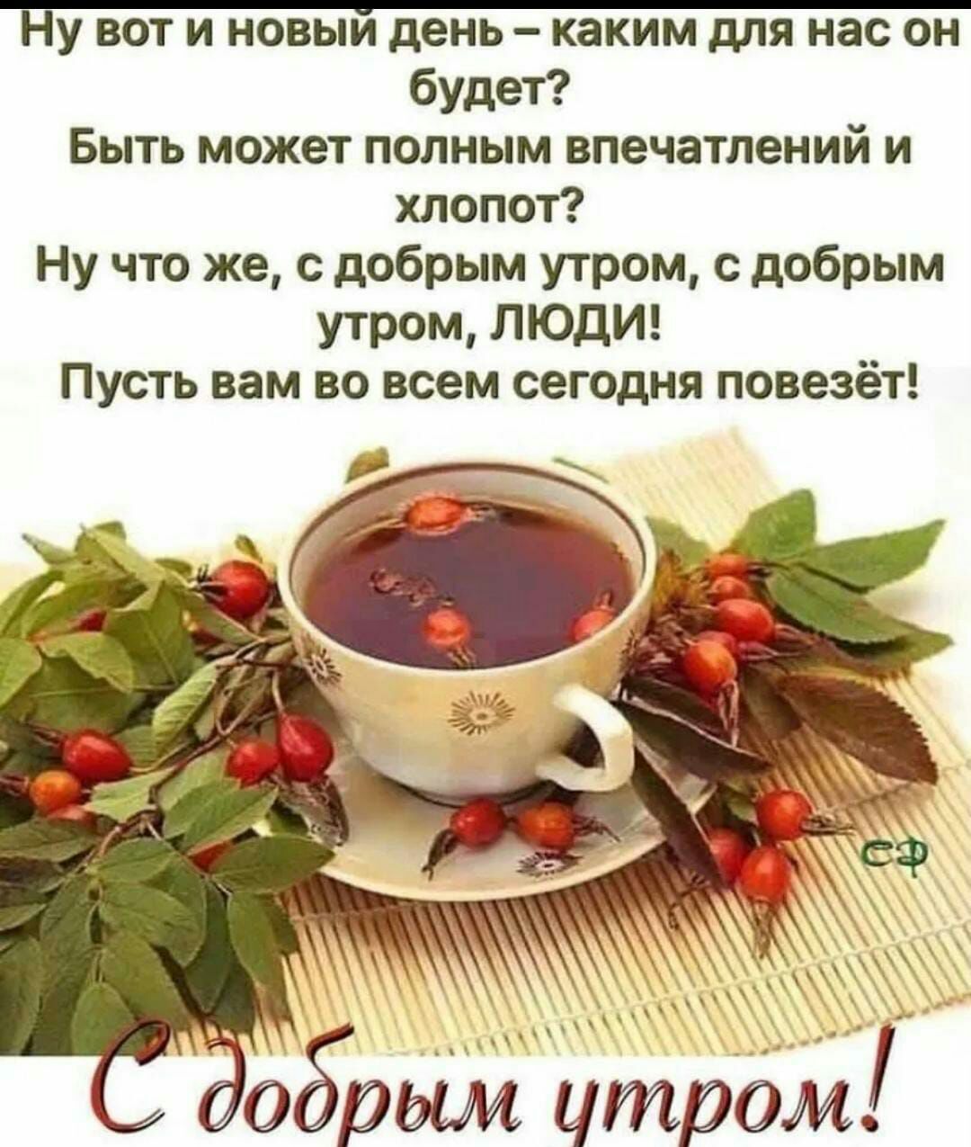 Ну вот и новый день каким для нас он будет Быть может полным впечатлений и хлопот Ну что же с добрым утром с добрым утром ЛЮДИ Пусть вам во всем сегодня повезёт