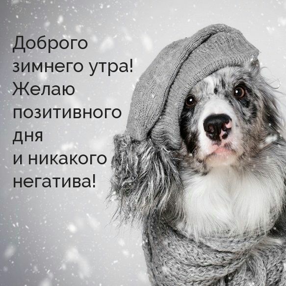 Доброго зимнего утра Желаю позитивного дня и никакого А негатива