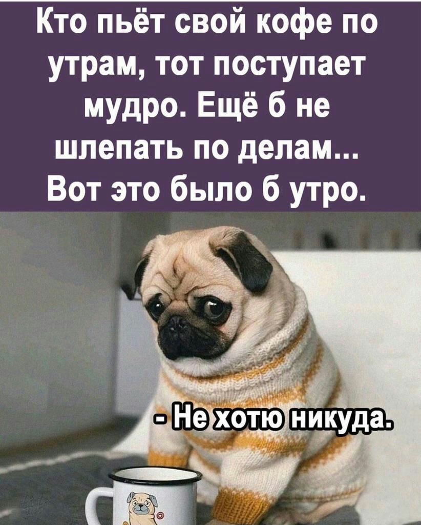 Кто пьёт свой кофе по утрам тот поступает мудро Ещё б не шлепать по делам Вот это было б утро