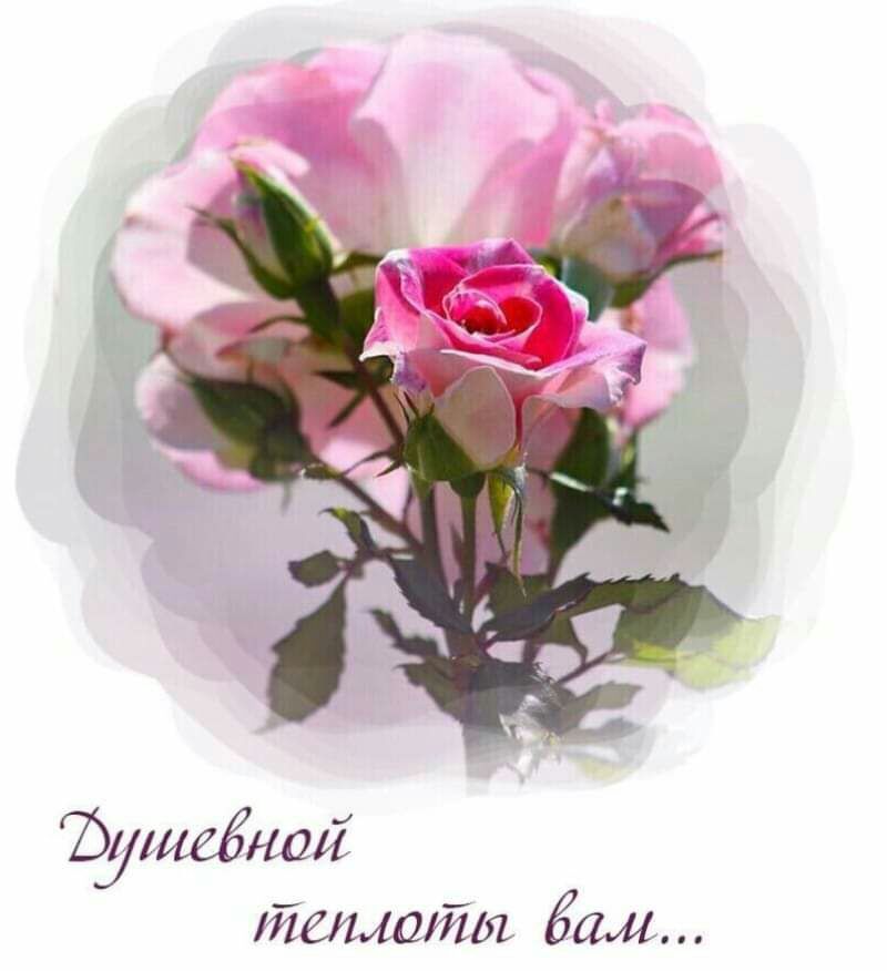 Ъушгбнші теплоты Бам