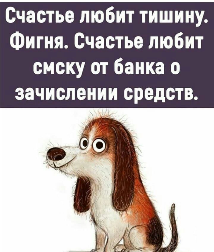 Счастье любит тишину Фигня Счастье любит смску от банка о зачислении средств