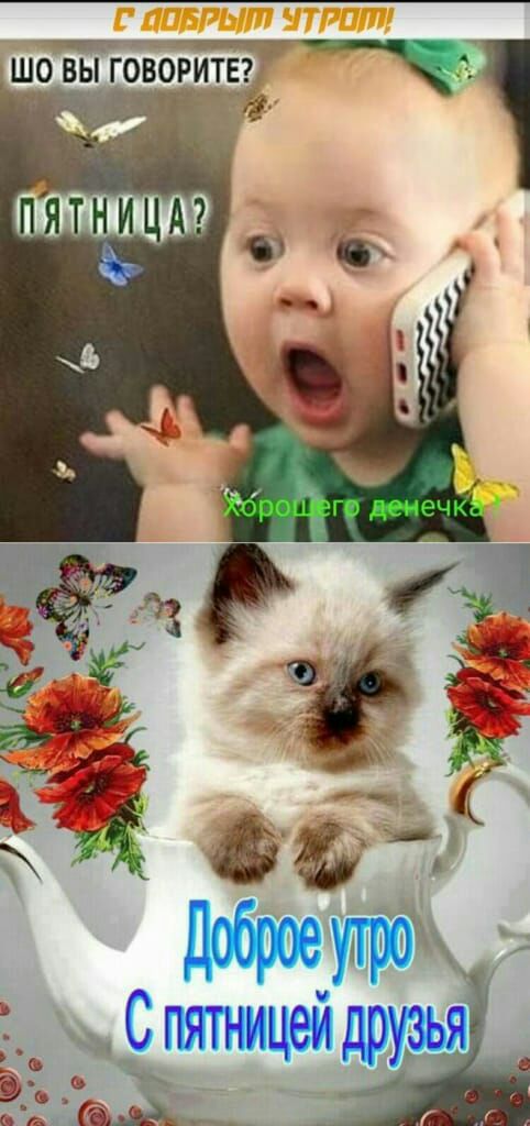 тг шо вьйоворитег