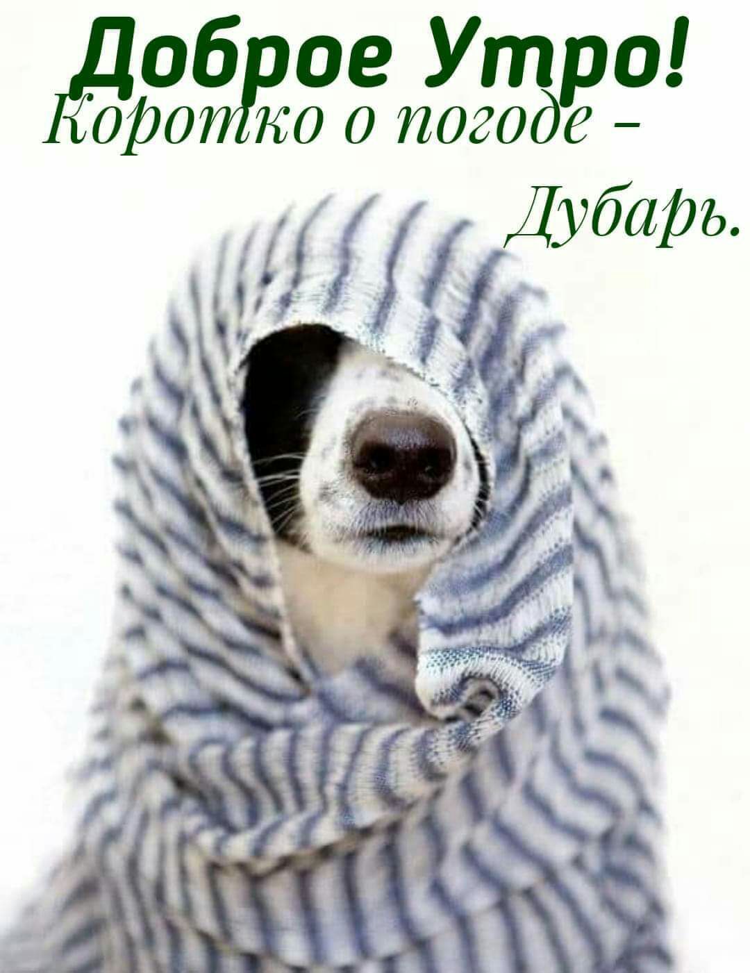 Доб ое Ут тдр9 0190 коопогое