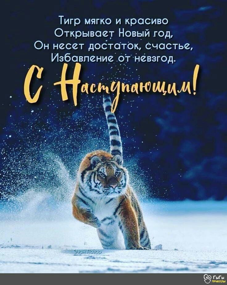 Тигр мягко и красиво Открывает Новый год Он несет достат0к Счастье