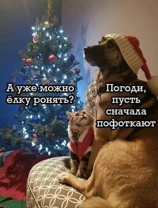 А жетможнё