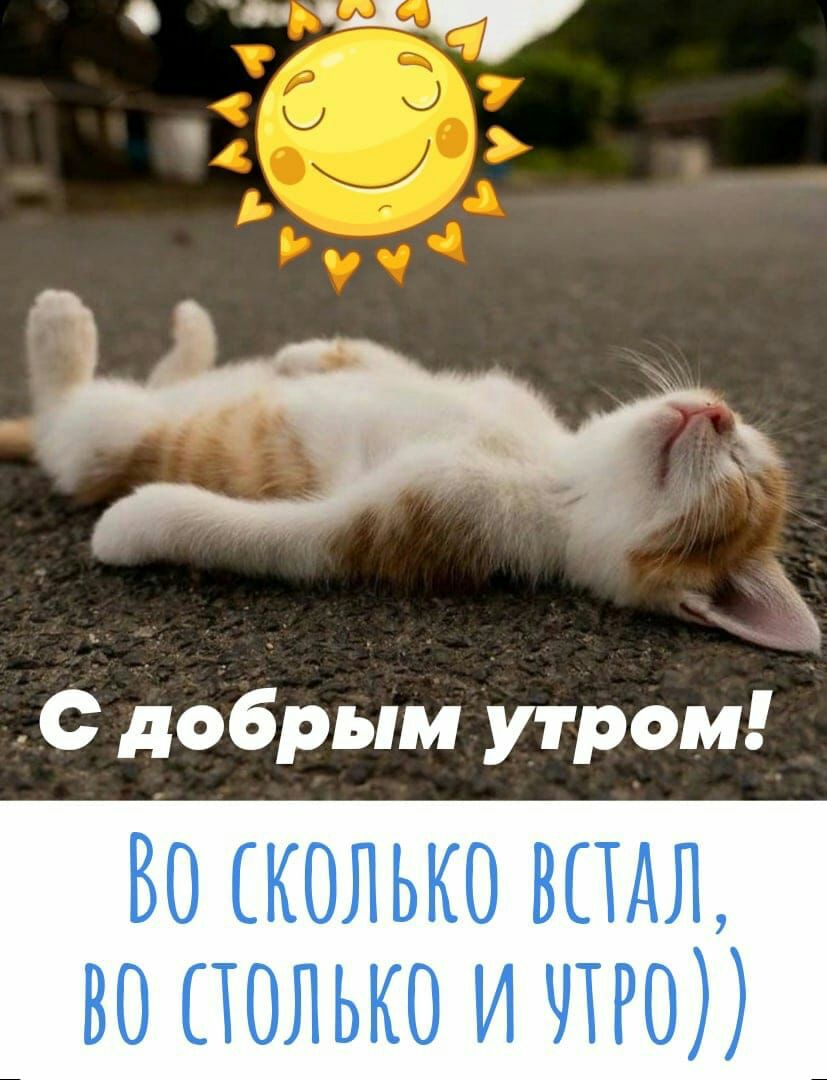 __ с добрым утром