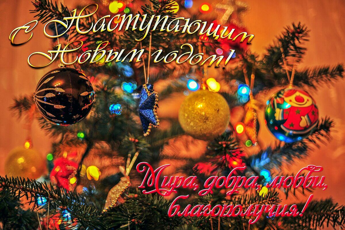ЙбтЁИйібши тйбдйіат бЭби _ ъ э 5 _ г 1 Лис Юг 16 бииЛММ