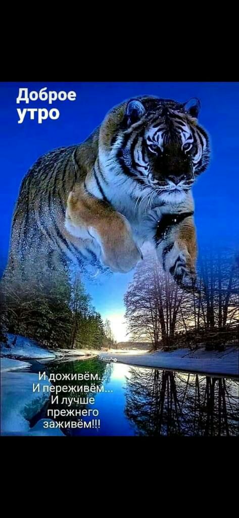 ёаживём