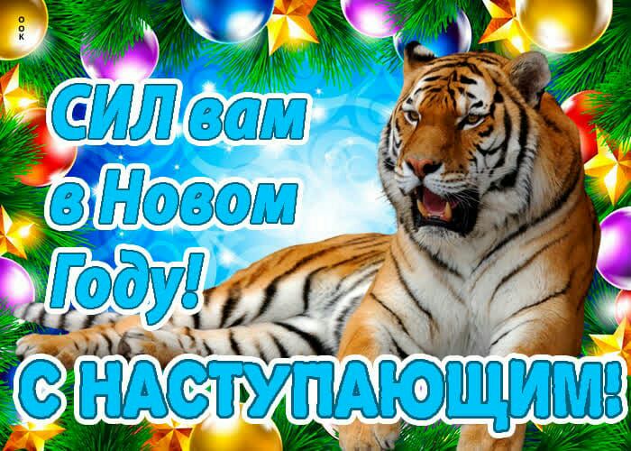 Ч сваступающимя
