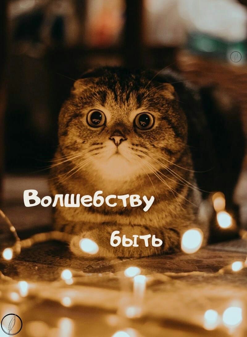 Во пшебству