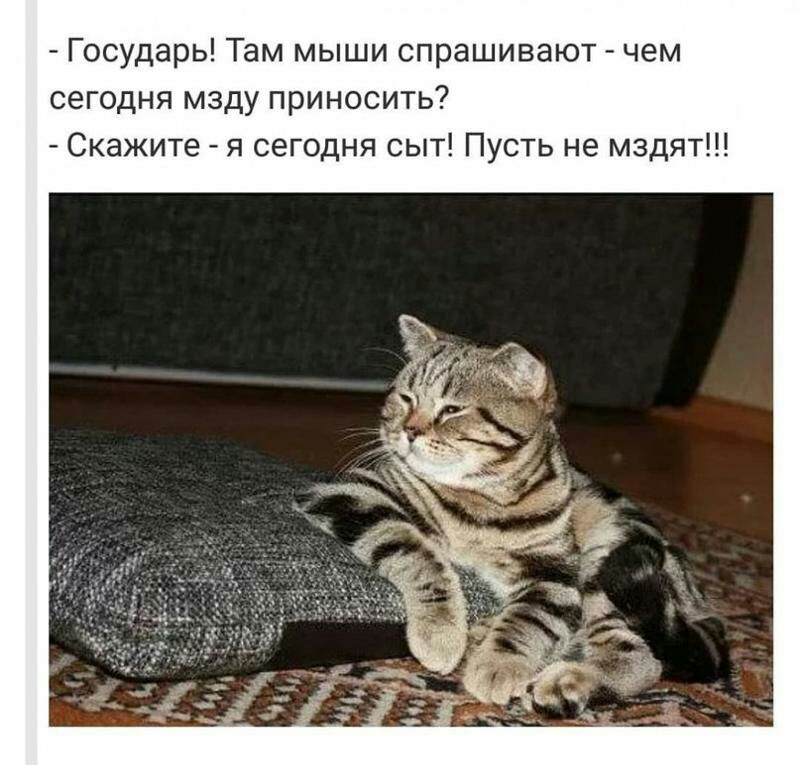 Государь Там мыши спрашивают чем сегодня мзду приносить Скажите я сегодня сыт Пусть не мздят