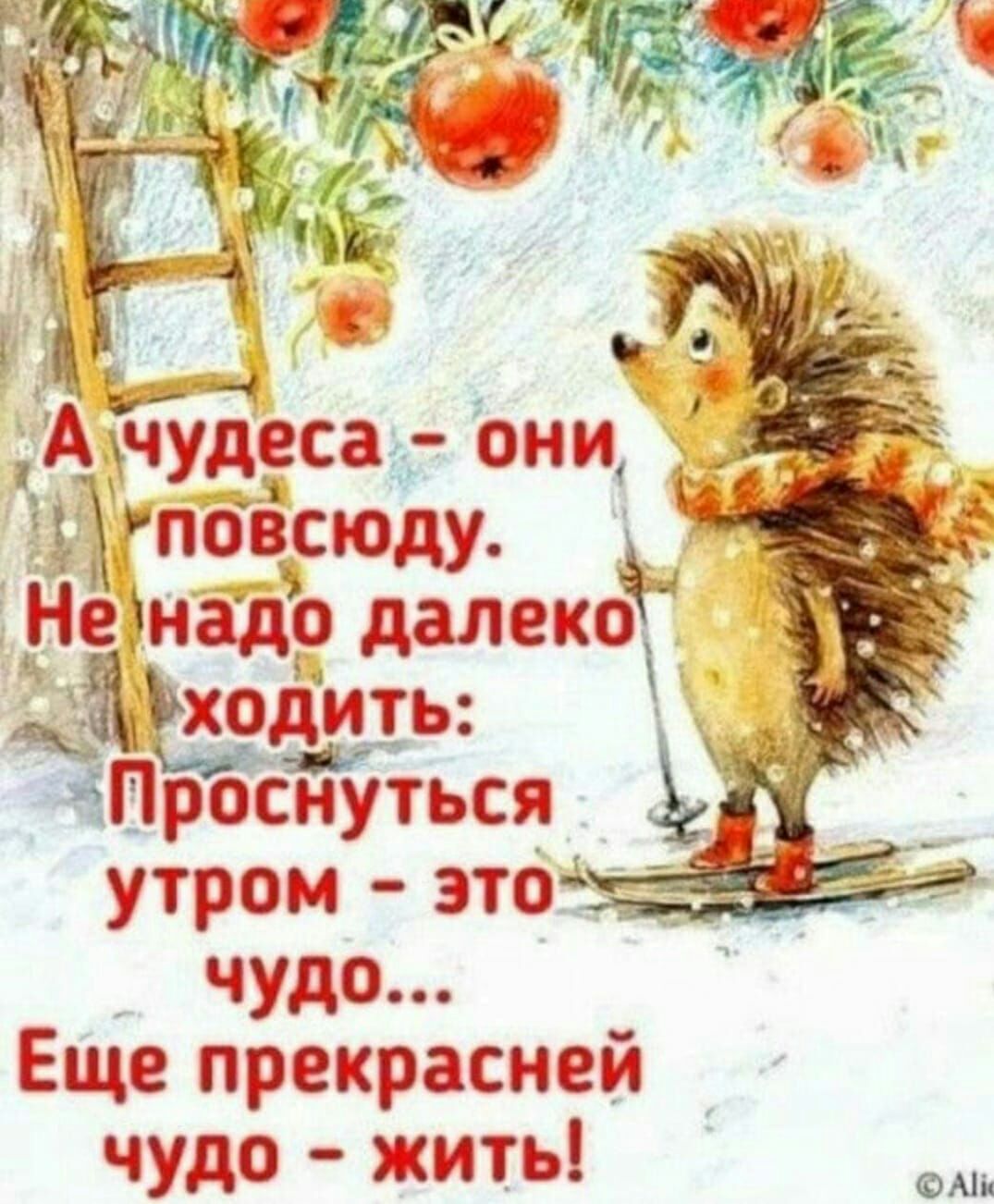 в ч А чудеса они гповсюду Немало лицо аЪходить Прбснуться у __ утром это чудо Еще прекрасней чудо жить