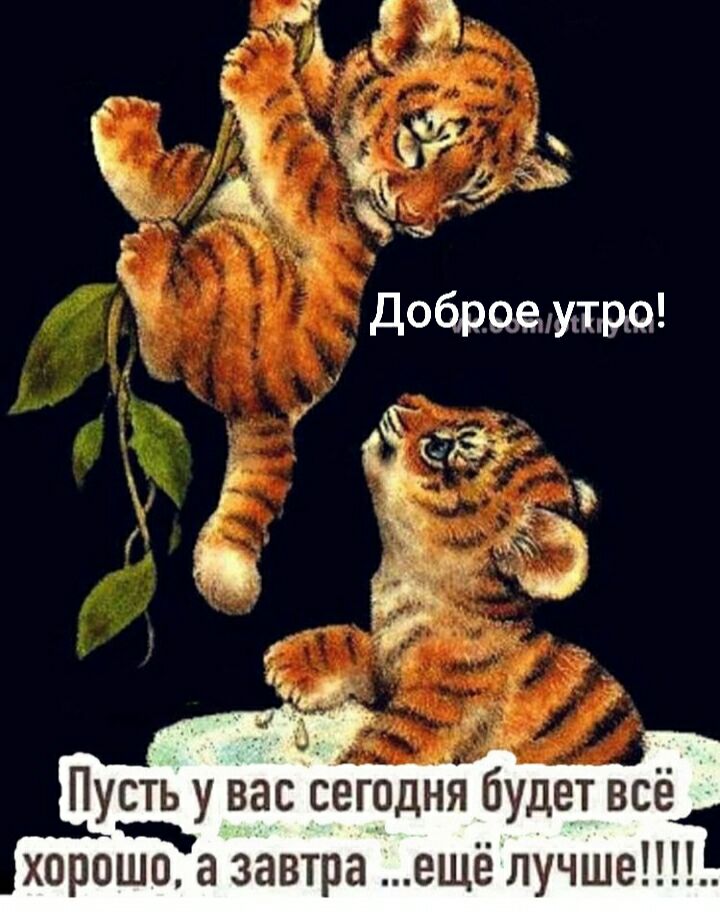 Ё Тк 7 3 Е Я 7 Добраемре г ЁЁ Ё и ПусТь у_вас_сегрдня будет всё хороПлЁа завтра ещёлучше