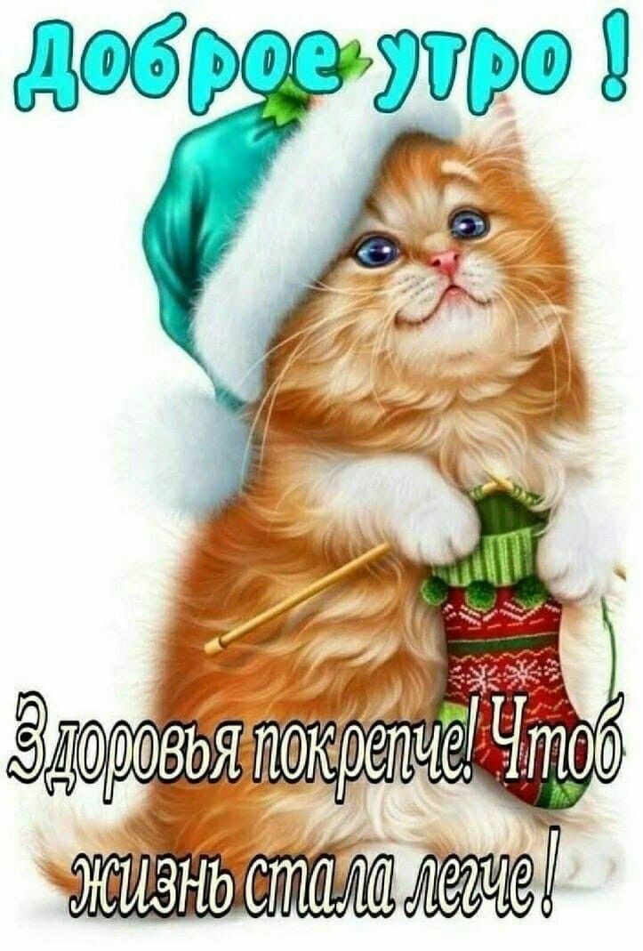 ЁнЁ Ё ЗДпэкрепчеаг нрб етим