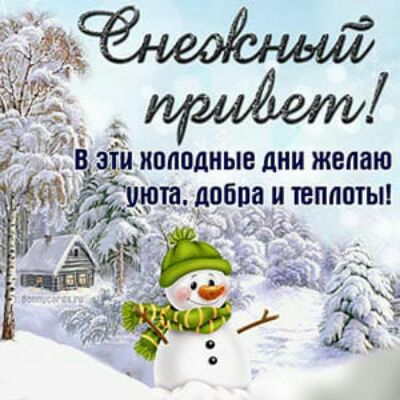 __ шёпбпа и те 5541 ШИНЫ
