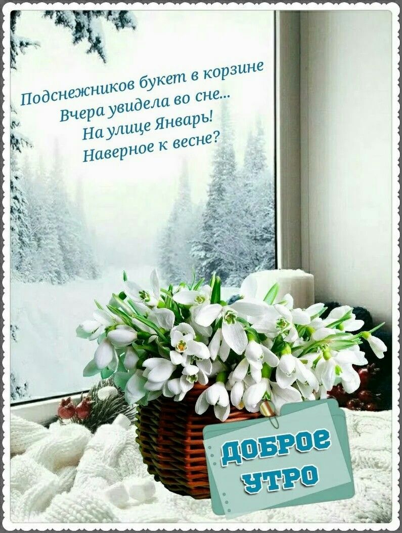 ЁЦЖ