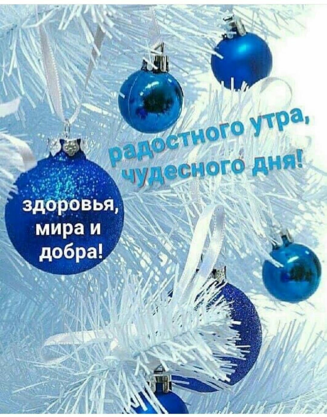 эдорЬвщ 7 мира и