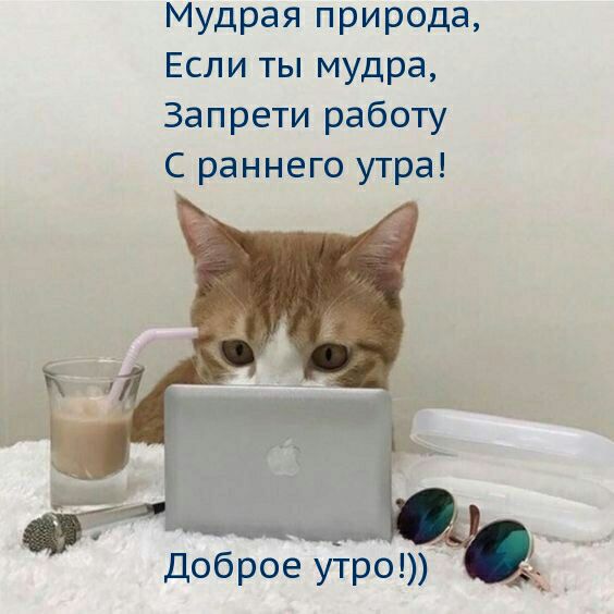 Мудрая природа Если ты мудра Запрети работу С раннего утра Доброе утро