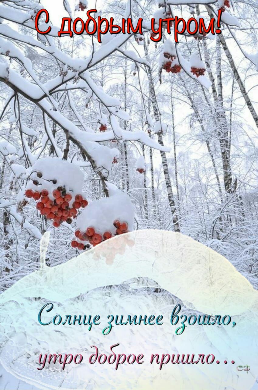 цеёимнее ад я