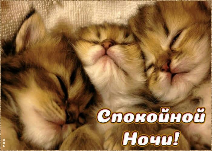 дл 0 к о п с