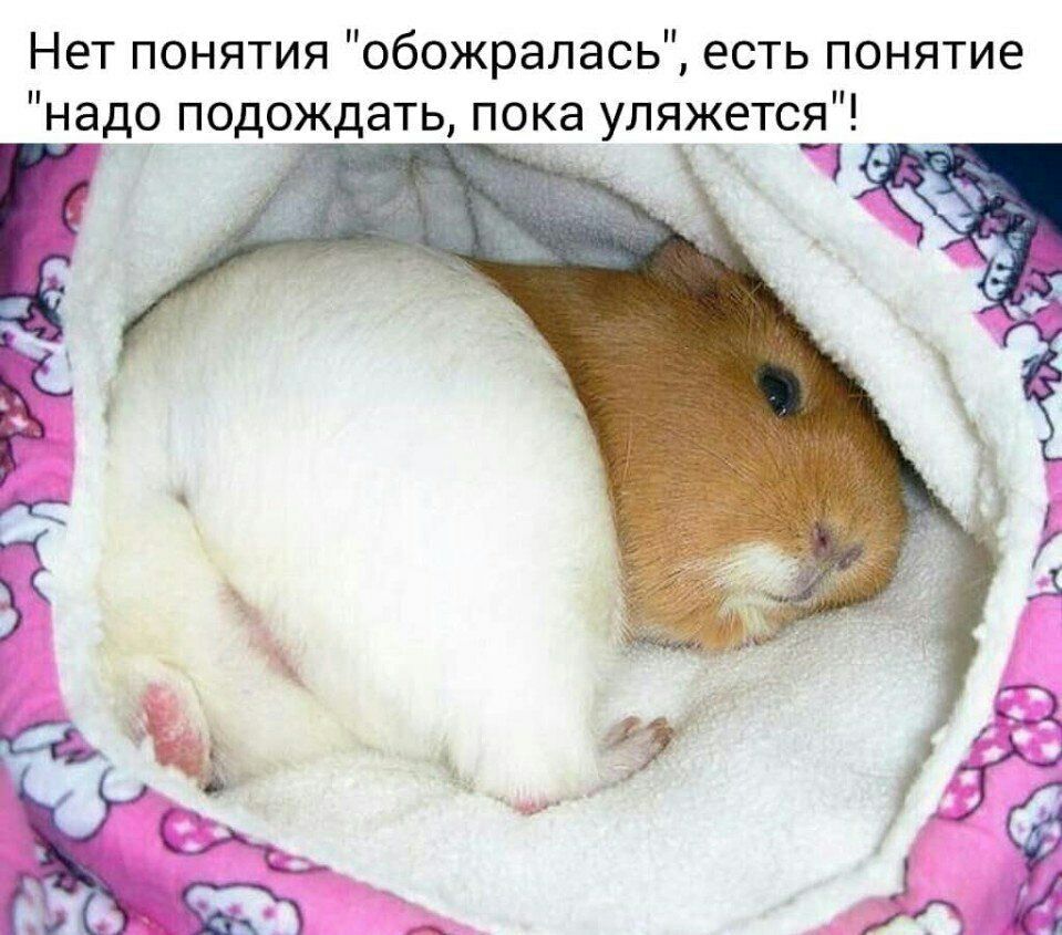 Нет понятия 