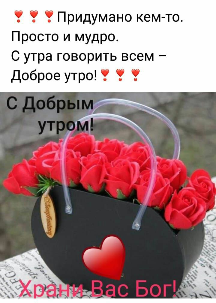 Придумано кем то Просто и мудро С утра говорить всем Доброе утро