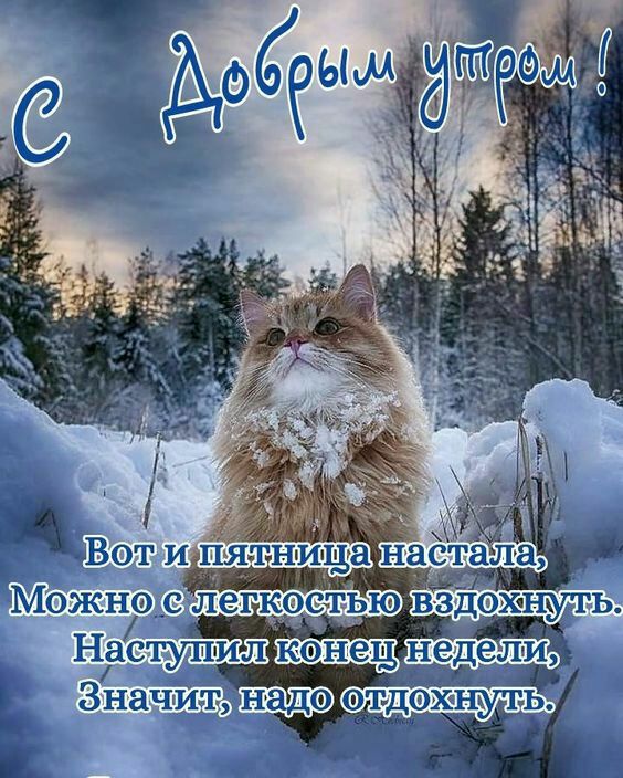 Конешёнедели