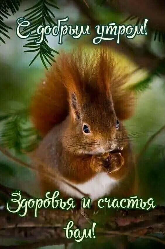 са е сдборыа од йуъ  ;.  М 4