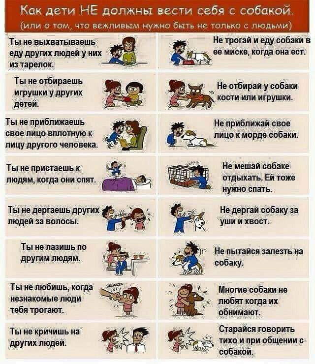 Ты не выхватываешь Не трогаи и еду собаки в едудругихпюдей них ее миске когда она ест из предок Ты не отбираешь Не огбираи у собаки игру_ШШ Уд кости или игрушки детеи Ты не приближает Нвприбпижай свое свое лицо вплотную к лицо к морде собаки пицу другого человека Ъ Ты не приогаешь Не мешаи собаке людям когда они спят огдыхать Ей гоже нужно спать Ты не дерпешь других На дергай ообаку за людей за во