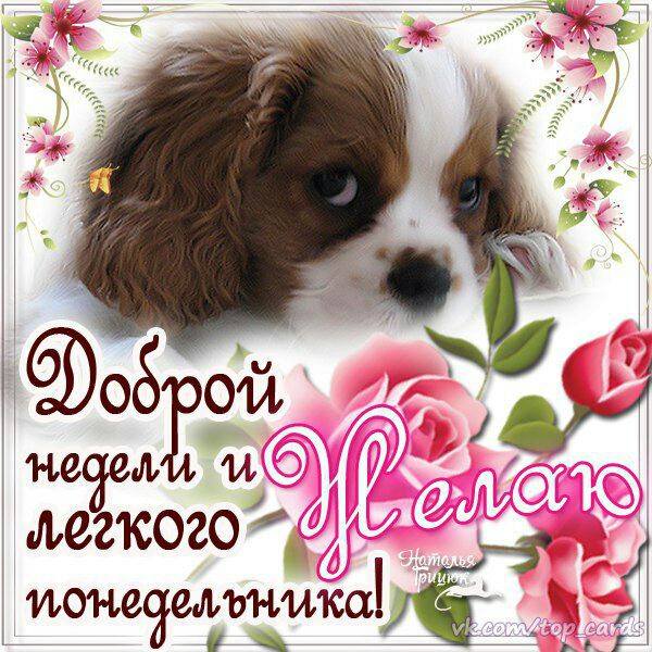 НС Л легкого ионщйелъника 05 0