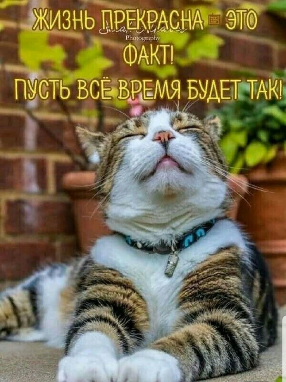 из нь пр ЧПАСТМА ЭТО ФАКТ ПУСТЬ ВСЁ ИЯ въ АЕТ ТАТ