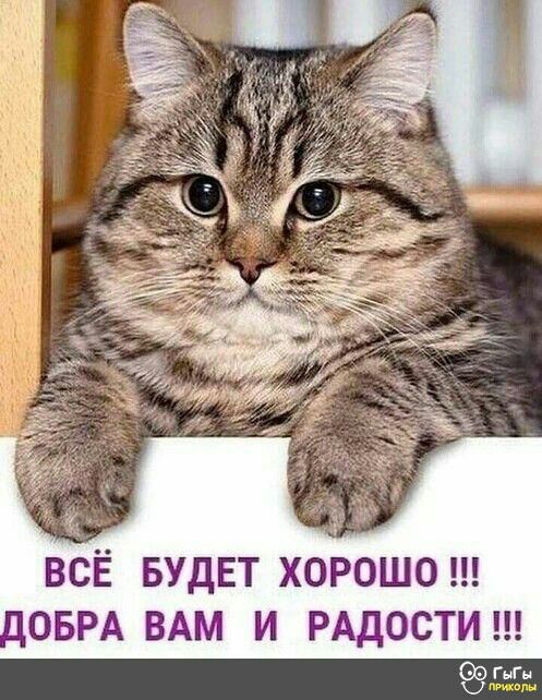 ВСЁ БУДЕТ ХОРОШО ЛОБРА ВАМ И РАДОСТИ