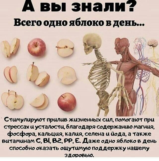 А в ы з н а п и Всего одно яблоко В день Стимулируют прилив жизненных сил помогают при стресса и усталости благодаря содержанию магния фосфора кальция калия селена ц йода в также витаминам С В ва РР Е даже одно яблоко в день способно оказать ощутимую поддержку нащему здоровью