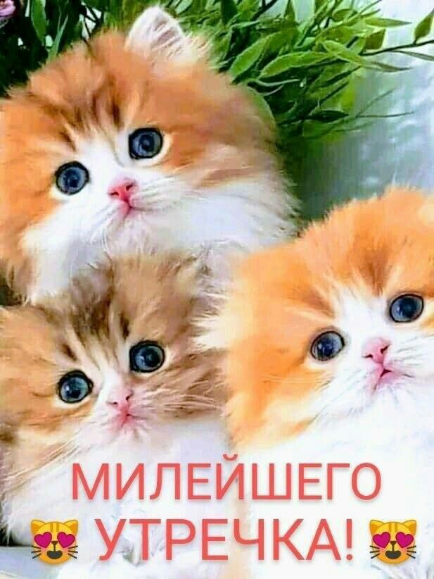 Ё