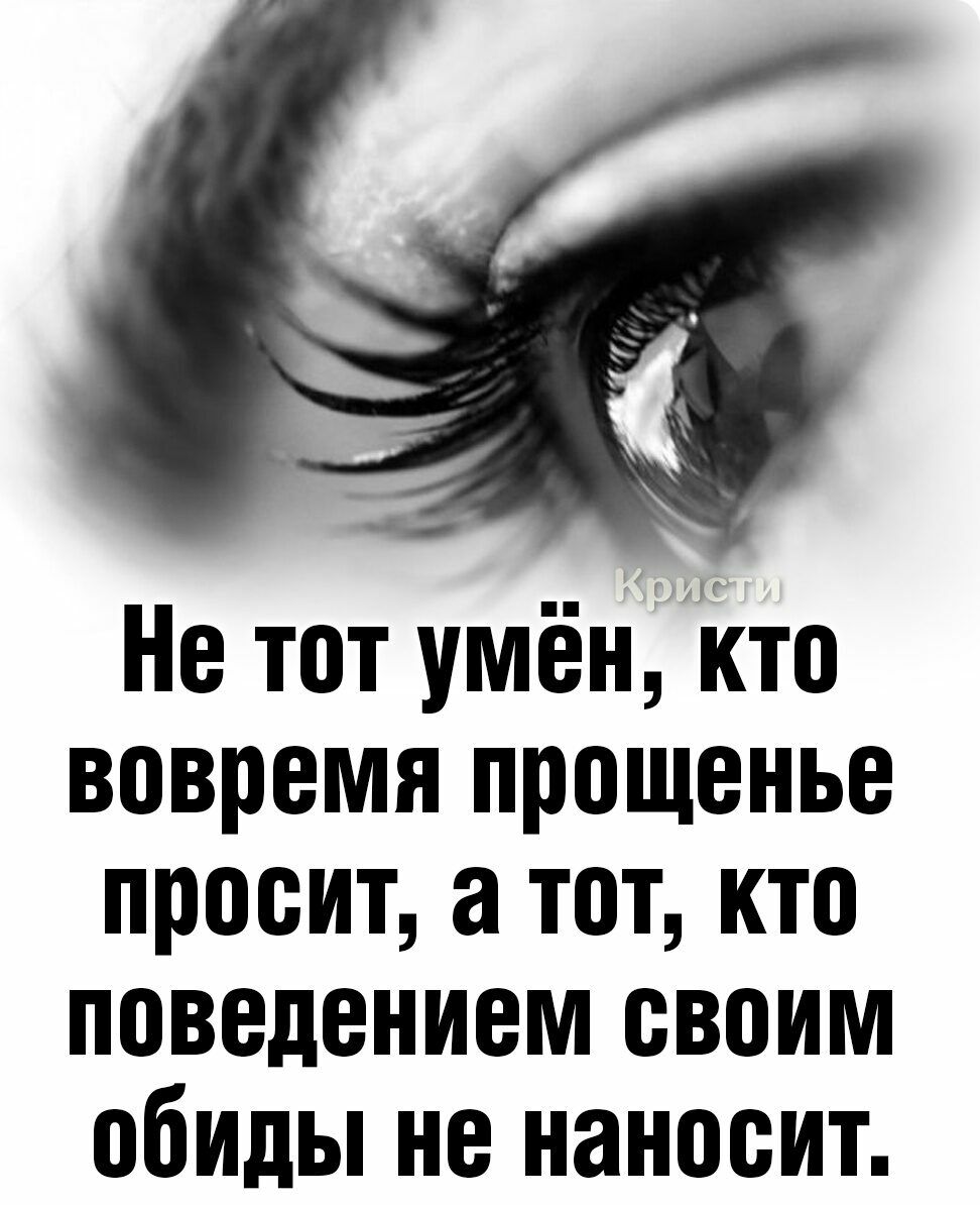 Не тот умён, кто вовремя прощенье просит, а тот, кто поведением своим обиды не наносит.