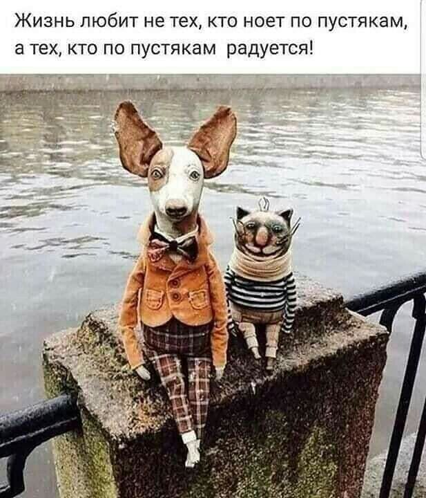 Жизнь любит не тех кто ноет по пустякам а техкто по пустякам радуется тд
